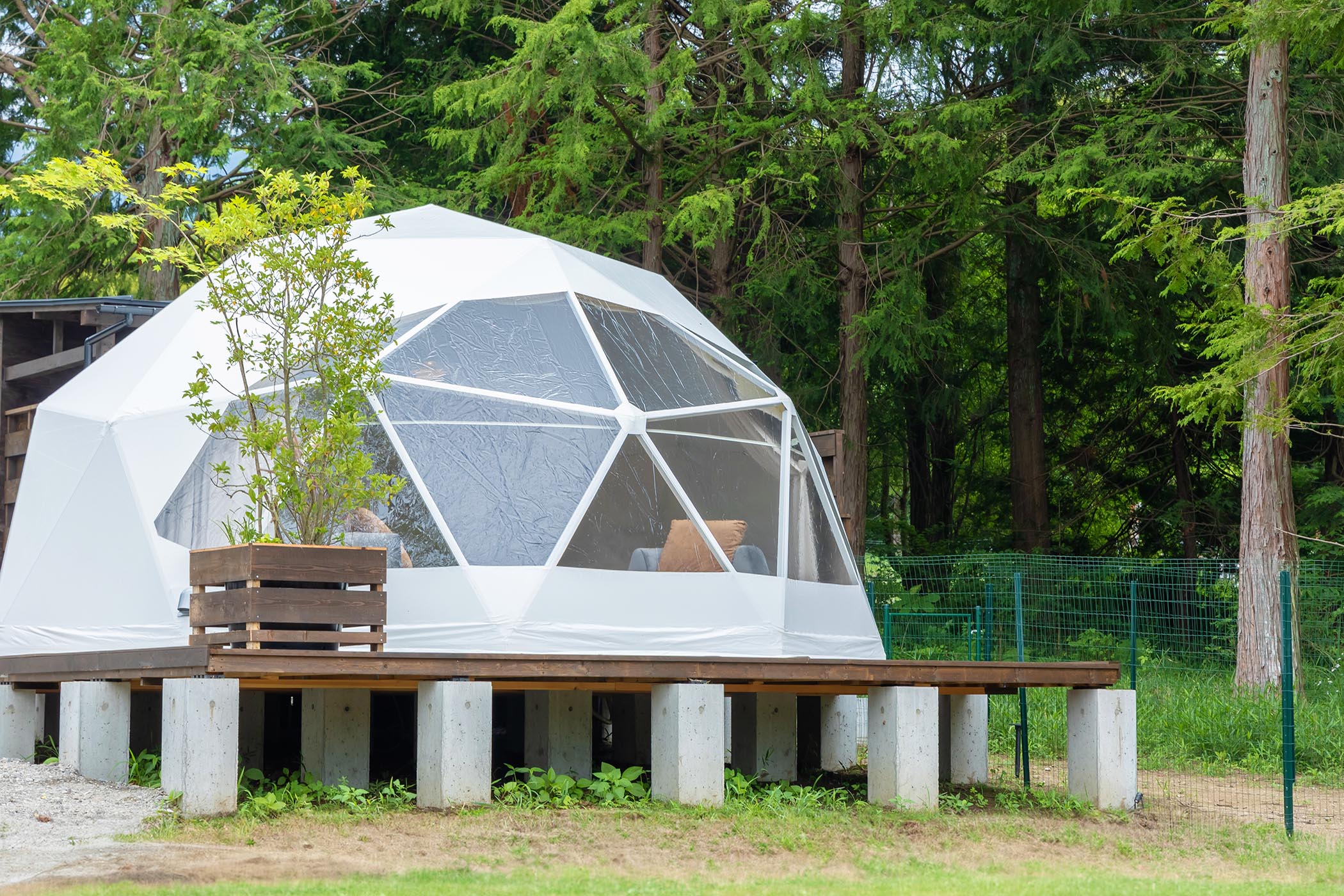 Dog dome
